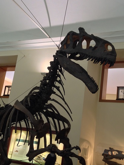 Scheletro di T-Rex