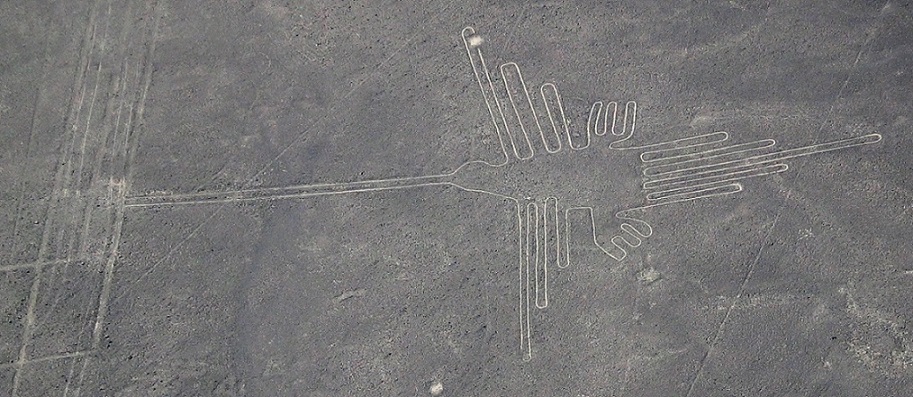 Linee di Nazca, il Colibrì