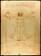 L'uomo vitruviano di Leonardo